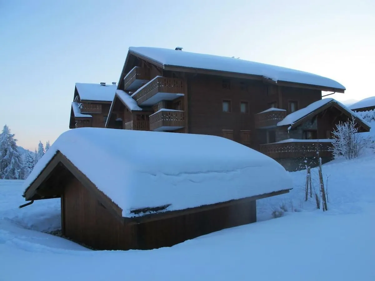 Chalet Les Trappeurs Les Carroz d'Araches France
