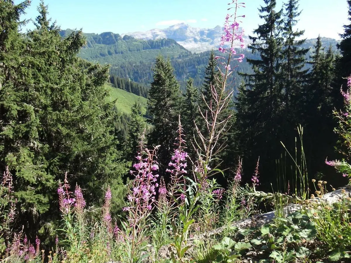 Chalet Les Trappeurs Les Carroz d'Araches