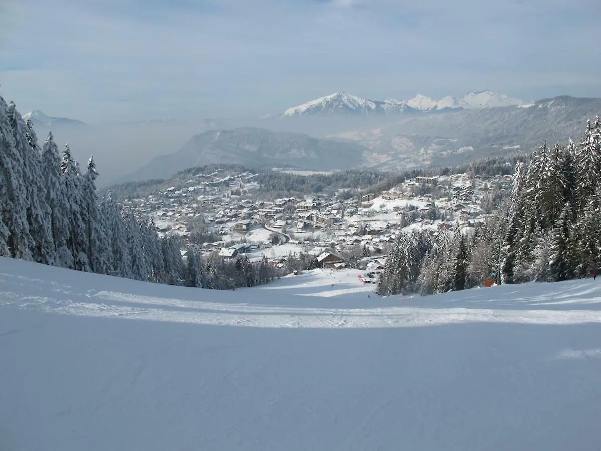 Chalet Les Trappeurs Les Carroz d'Araches